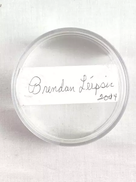 Brendan Leipsic 28 Signed 2014 NHL Nashville Predators Official Hockey Puck Case