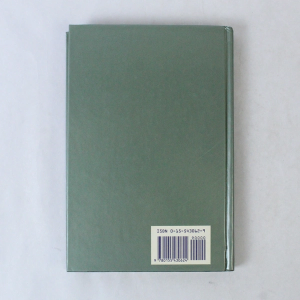 Introduction to Logic and Critical Thinking Marrilee H Salmon 1989 Hardcover