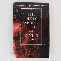 The Holy Spirit Fire of Divine Love by Fr. Wilfrid Stinissen 2017 Paperback