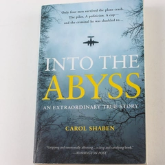 Into the Abyss by Carol Shaben 2014 Paperback Good Condition Book