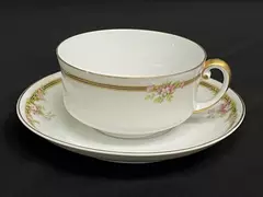 Vtg P.T. Tirschenreuth Madison Pattern Cup & Saucer Set Hand Painted China