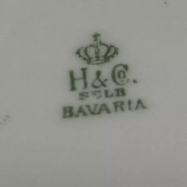 Heinrich H & C Selb Bavaria Small Rectangular Platter 11 Inch
