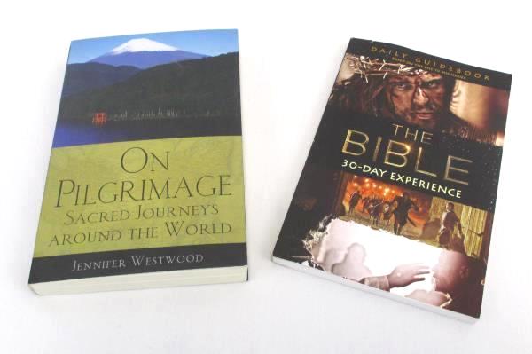 2 Paperback Books The Bible 30-Day Experience & On Pilgrimage Sacred Journeys