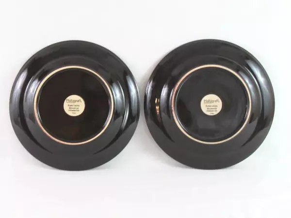 Lot of 2 Pfaltzgraff Rustic Leaves Dinner Plates 11.25" Stoneware Replacements