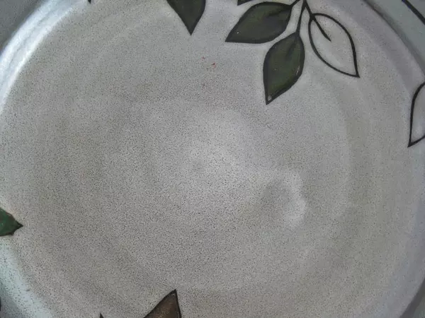 Lot of 2 Pfaltzgraff Rustic Leaves Dinner Plates 11.25" Stoneware Replacements