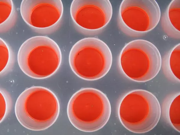 Lot of 2 Ice Cube Trays Silicone Base Orange Red Clear Plastic Unbranded Summer
