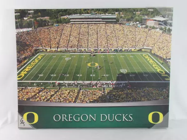 Artissimo Oregon Ducks Autzen Stadium Wall Art Print On Canvas 27" x 21"