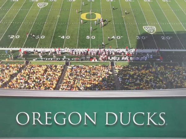 Artissimo Oregon Ducks Autzen Stadium Wall Art Print On Canvas 27" x 21"