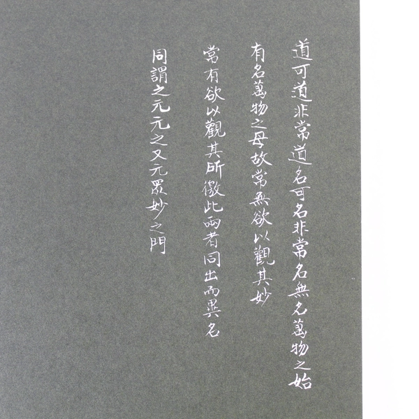 The Tao of the Tao Te Ching by Michael Lafargue 1992 PB Pre-Owned, Marks