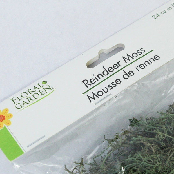 Lot of 3 New Floral Garden Reindeer Moss 24 Cubic Inch Packs for Crafts