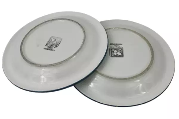 Set of 2 Heritage Mint Black Forest Fruits 10.5 Inch Stoneware Dinner Plates