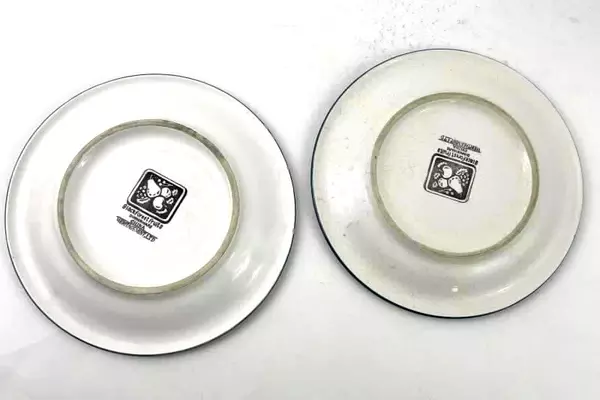 Set of 2 Heritage Mint Black Forest Fruits 8" Salad Plates Vintage