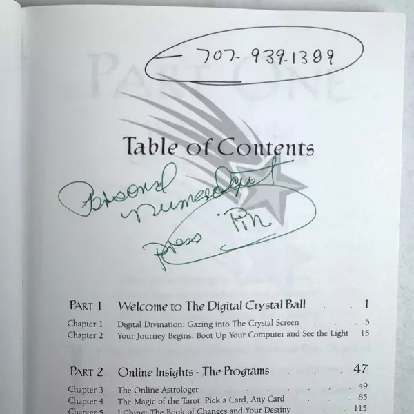 Digital Crystal Ball Your Personal Electronic Astrology by Guy D. Smith 1996