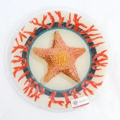 Signed Peggy Karr Handmade Fused Art Glass Oceana Plate Round 8" Starfish