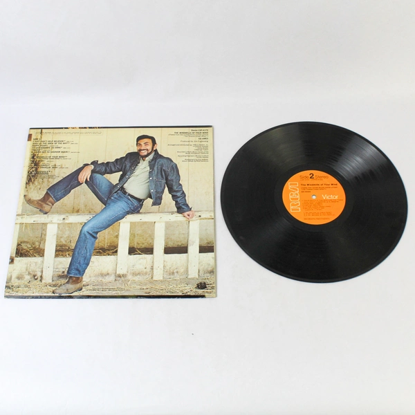 Ed Ames The Windmills Of Your Mind 1969 Vinyl Record RCA LSP-4172