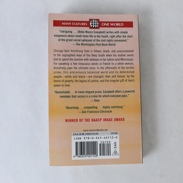 Your Blues Ain't Like Mine by Bebe Moore Campbell 2007 Random House PB