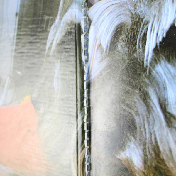 Miniature Schnauzers by Gloria Lewis and Beverly Pisano 1983 Hardcover