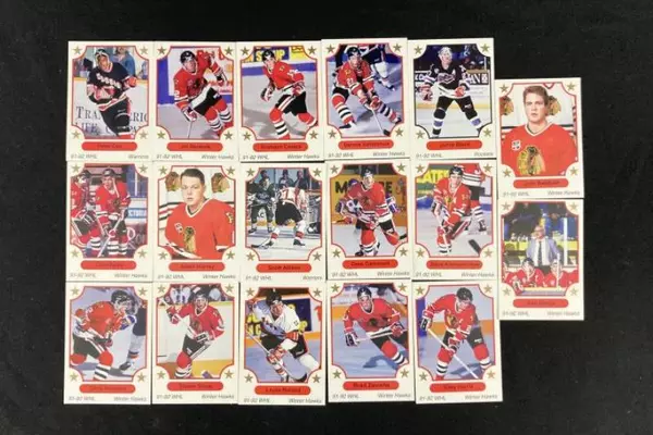 Lot of 24 WHL Hockey Trading Cards 91-92 Season by 7th Inning Sketch