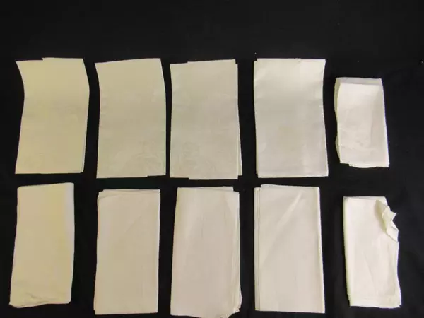 Lot of 10 Cloth Napkins Off White Floral Mythology Square Woven Fabric