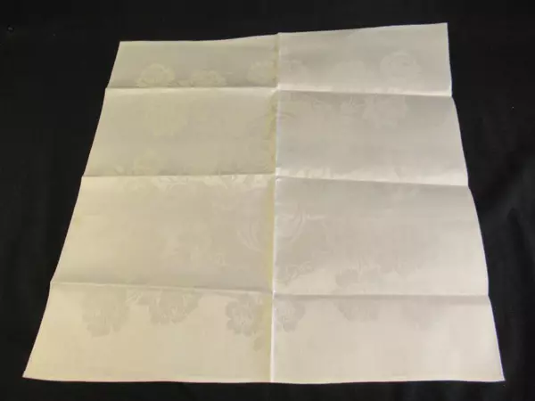 Lot of 10 Cloth Napkins Off White Floral Mythology Square Woven Fabric