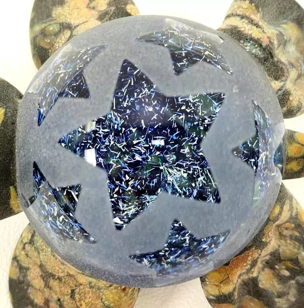 Vintage Mazet Studios Paperweight Turtle with Frosted Shell Stars Cosmic Oregon