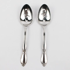 Set of 2 Oneida Chatelaine Stainless Steel Pierced Serving Spoons