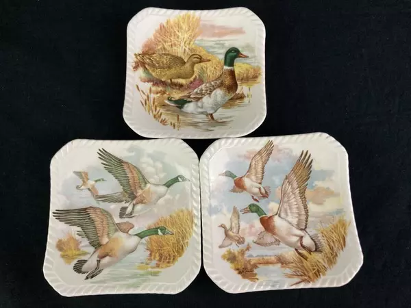 Set of 6 Royal Adderley Floral Bone China Coasters Gamebirds 4" Square ADD102