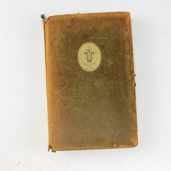 Antique The Blue Flower Henry Van Dyke 1902 1st Edition Leather