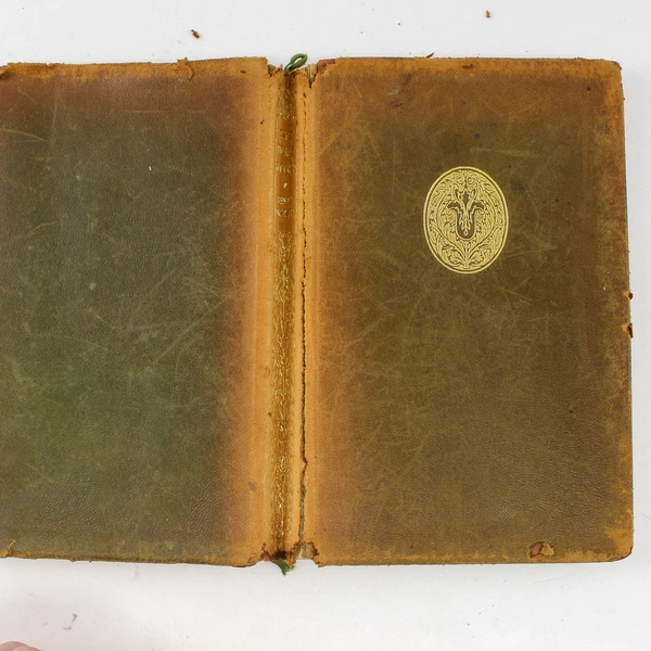 Antique The Blue Flower Henry Van Dyke 1902 1st Edition Leather