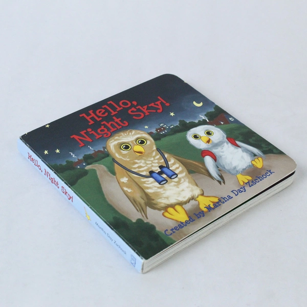 Hello Night Sky by Martha Day Zschock 2018 Hardcover Children's Book