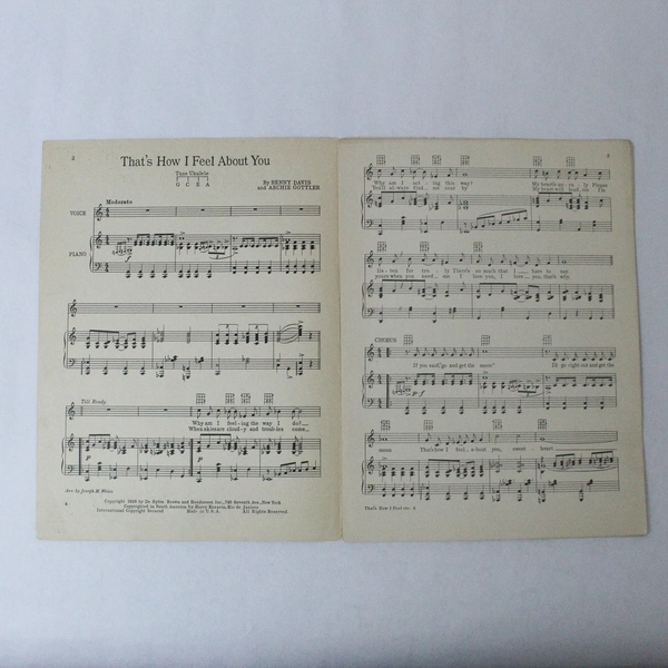 That's How I Feel About You Vintage Sheet Music 1928 Benny Davis Gottlier