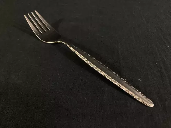 Set of 5 Riviera Stainless Steel Dinner Forks Livorno Pattern Japan