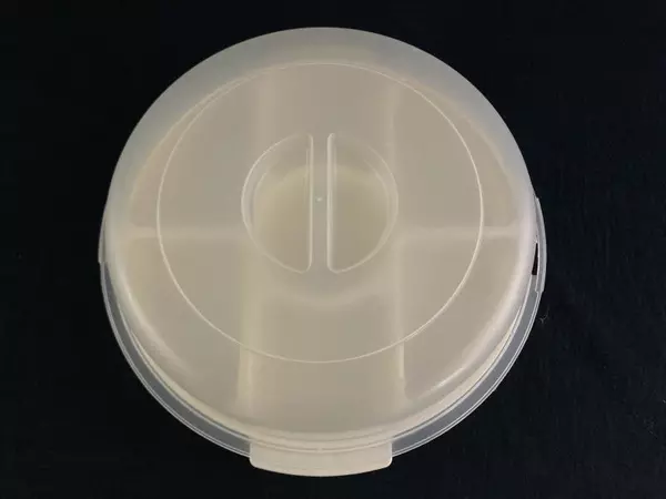 Vintage Rubbermaid Servin Saver Fruit Vegetable Dip Tray With Lid 7 Compartments