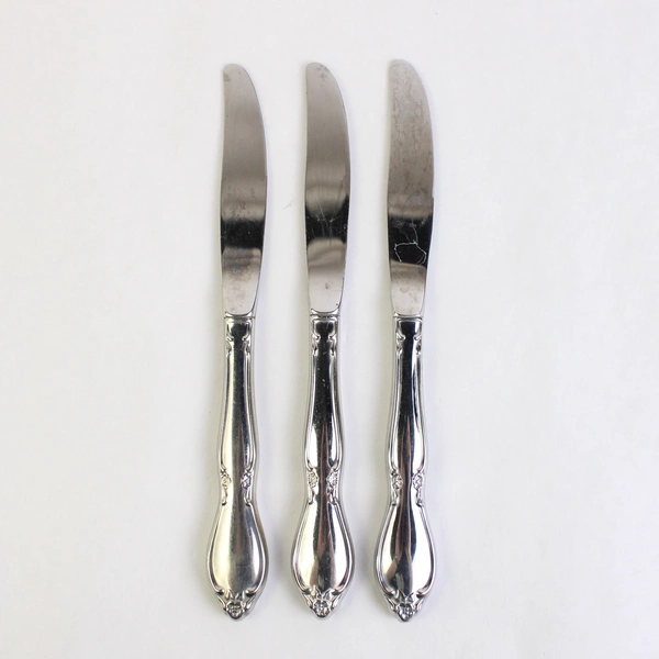 Set of 3 Oneida Chatelaine Stainless Steel Hollow Dinner Knives