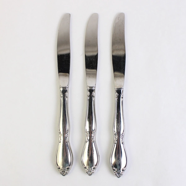 Set of 3 Oneida Chatelaine Stainless Steel Hollow Dinner Knives