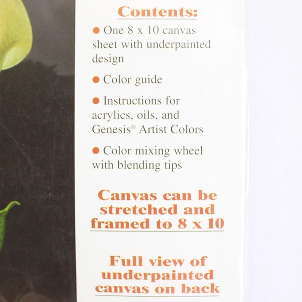 Artist Painting Color Guide Lily Level 2 Intermediate New