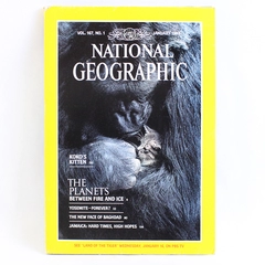 Vintage National Geographic Magazine January 1985 Features Koko's Kitten