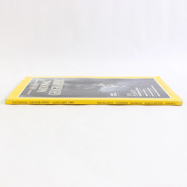 Vintage National Geographic Magazine January 1985 Features Koko's Kitten