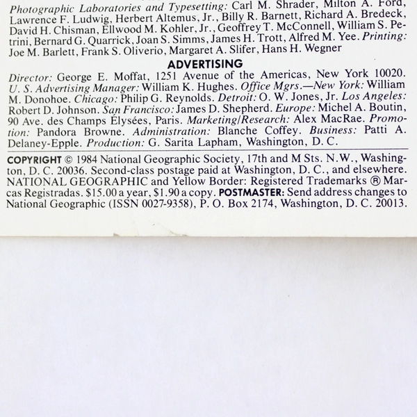 Vintage National Geographic Magazine January 1985 Features Koko's Kitten