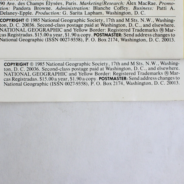 Lot of 2 Vintage National Geographic Magazines July and August 1985