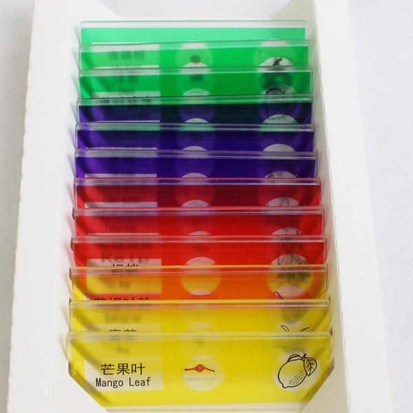 Set of 12 Student Biological Specimen Slides Plants and Animals