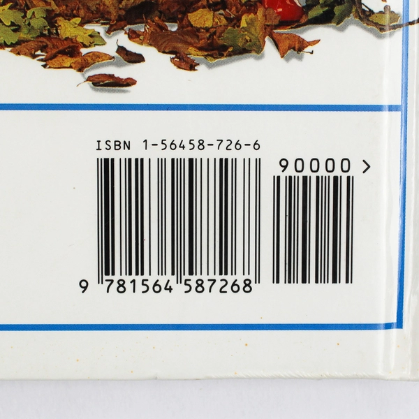 What's the Time by Lara Tankel Children's Book 1995 Hardcover