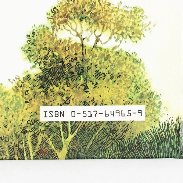 Toddy and the Fox Illustrated and Written by John Patience 1987 HC Rainbow's End