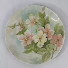 Vintage Hand Painted Arzberg China Floral Plate 7.5 Inch Germany