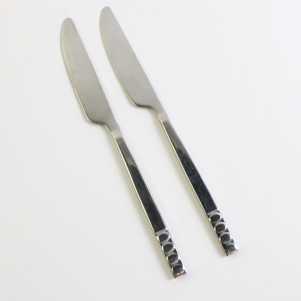 Lot of 2 Dinner Knives 9" Pier 1 Imports Portfolio 18/8 Stainless Steel Circles