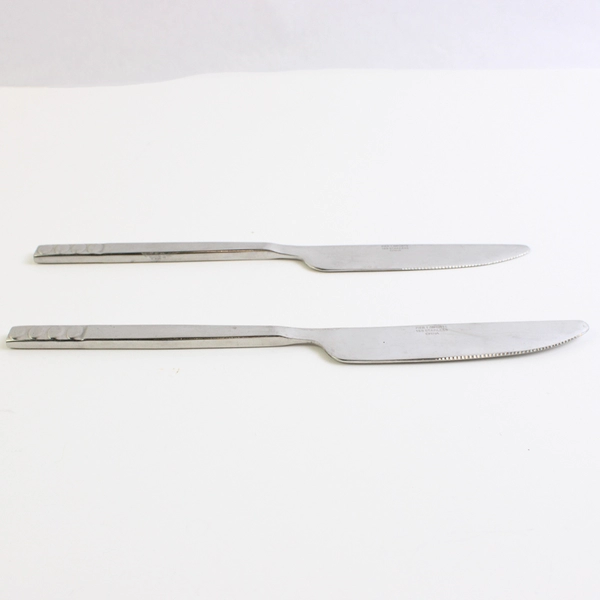 Lot of 2 Dinner Knives 9" Pier 1 Imports Portfolio 18/8 Stainless Steel Circles