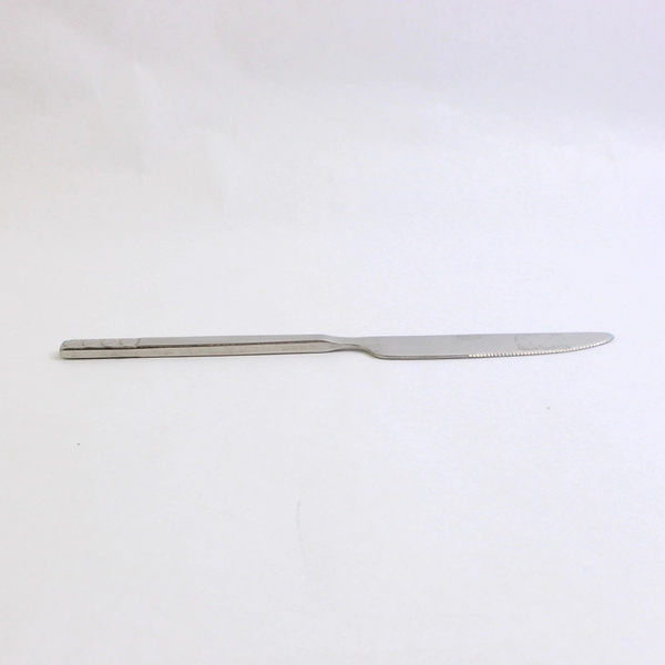 1 Dinner Knife Pier 1 Imports Portfolio 18/8 Stainless Steel Circles