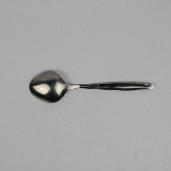 Sugar Spoon 6 1/8" International Decorator Fascination Stainless Steel