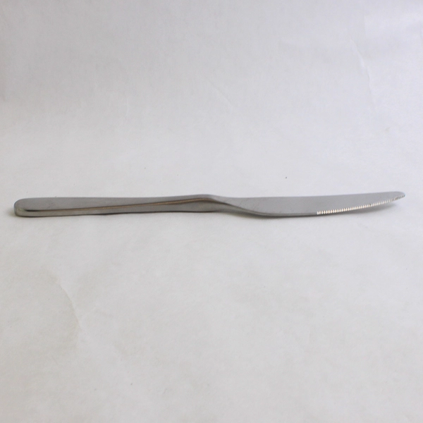 Lot of 4 IKEA Loja Dinner Knives 8.75" Stainless Steel Satin Flatware