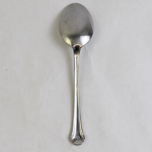 Pfaltzgraff Meridian Place Oval Soup Spoon 6.75" 18/0 Stainless
